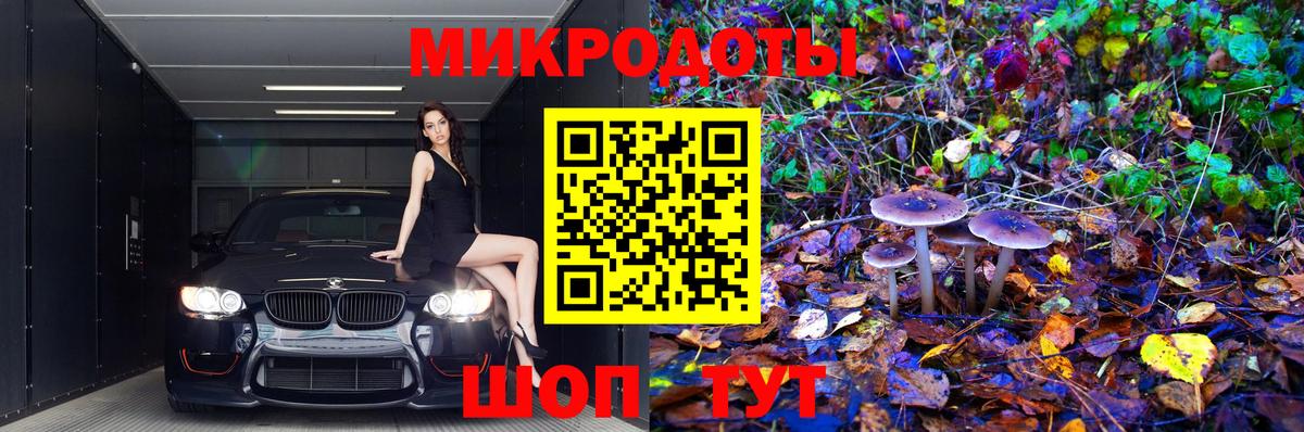 Галлюциногенные грибы Magic Shrooms Ступино